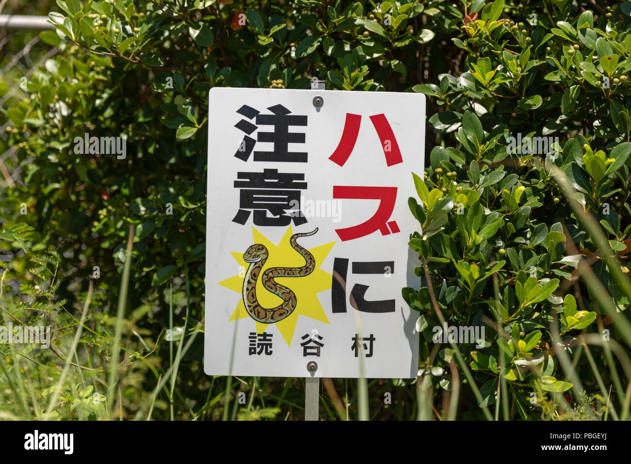 Achten Sie auf habu (Schlange) unterzeichnen; der Präfektur Okinawa, Japan Stockfoto
