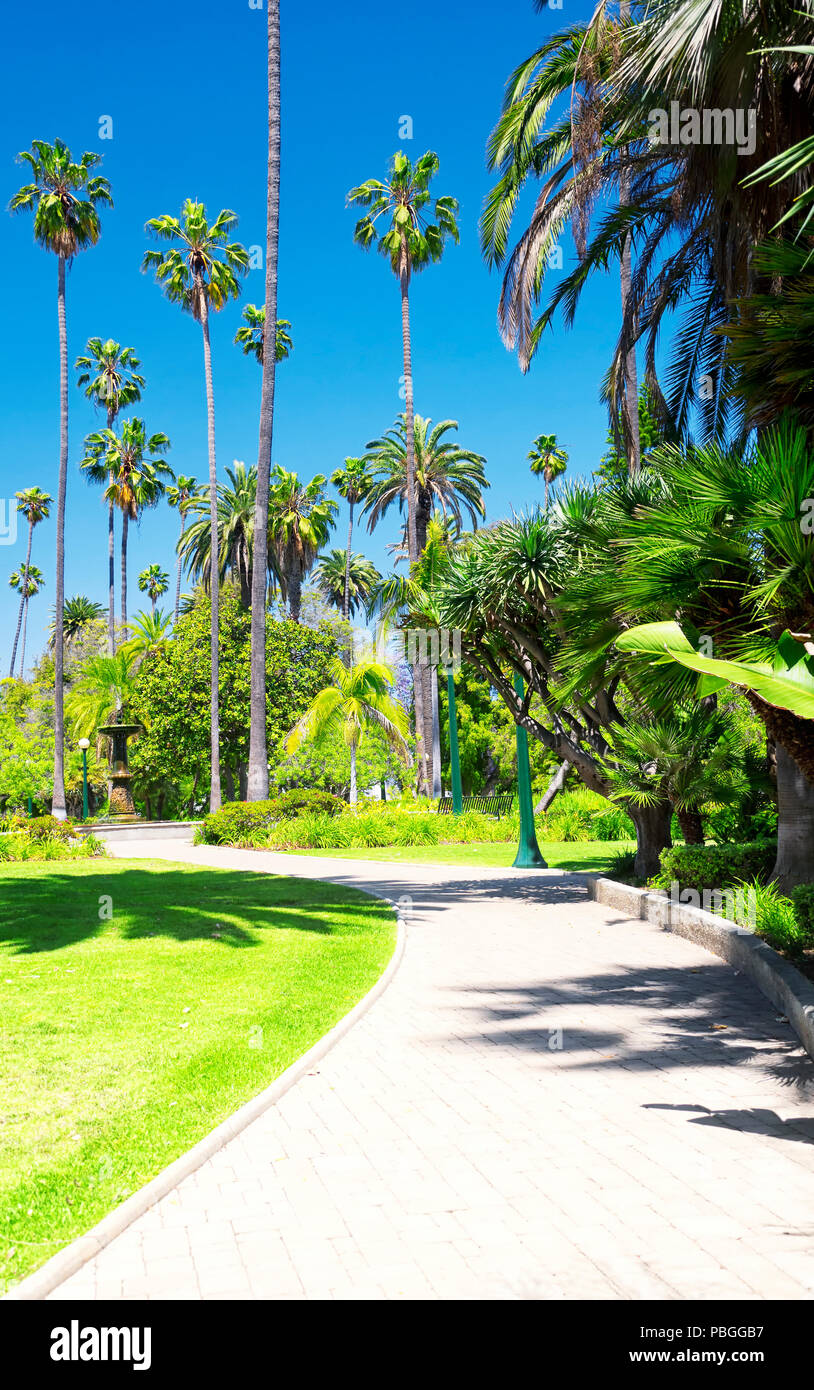 Einen gewundenen gepflasterten Weg von Palmen in Will Rogers Memorial Park in Beverly Hills Kalifornien an einem sonnigen Tag umgeben. Stockfoto