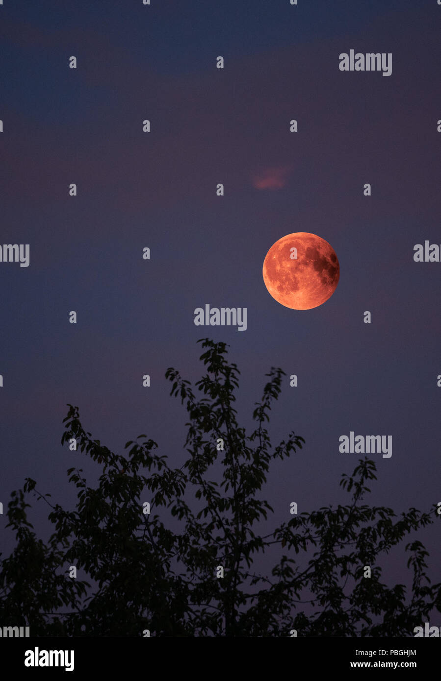Sicht auf Mondfinsternis bloodmoon am 28. Juli 2018 in Deutschland Stockfoto