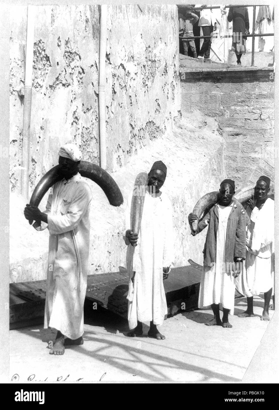 Männer, die Elfenbein Stoßzähne, Kenia 1880-1925 Stockfoto