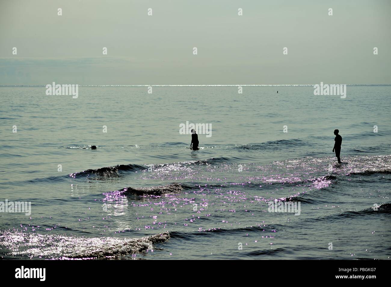 Chicago, Illinois, USA. Ein paar in die Brandung waten, wie Ihr Hund von einem frühen Tag schwimmen in Hollywood Beach, auch Kathy Osterman Beach bekannt. Stockfoto
