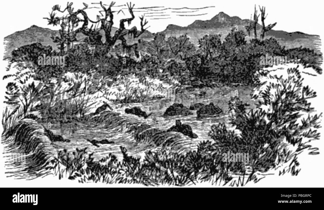 1615 Das Beaver Dam Stockfoto