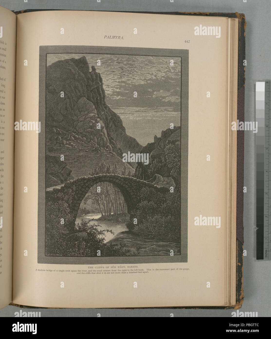 1624 Die Klippen von Sûk Wâdy, Barada. Eine moderne Brücke aus einem einzigen Bogen überspannt den Fluss, und die Straße überquert vom rechten zum linken Ufer. Dies ist die schmalste Stelle der Schlucht, und der (Nypl b 10607452-80540) Stockfoto