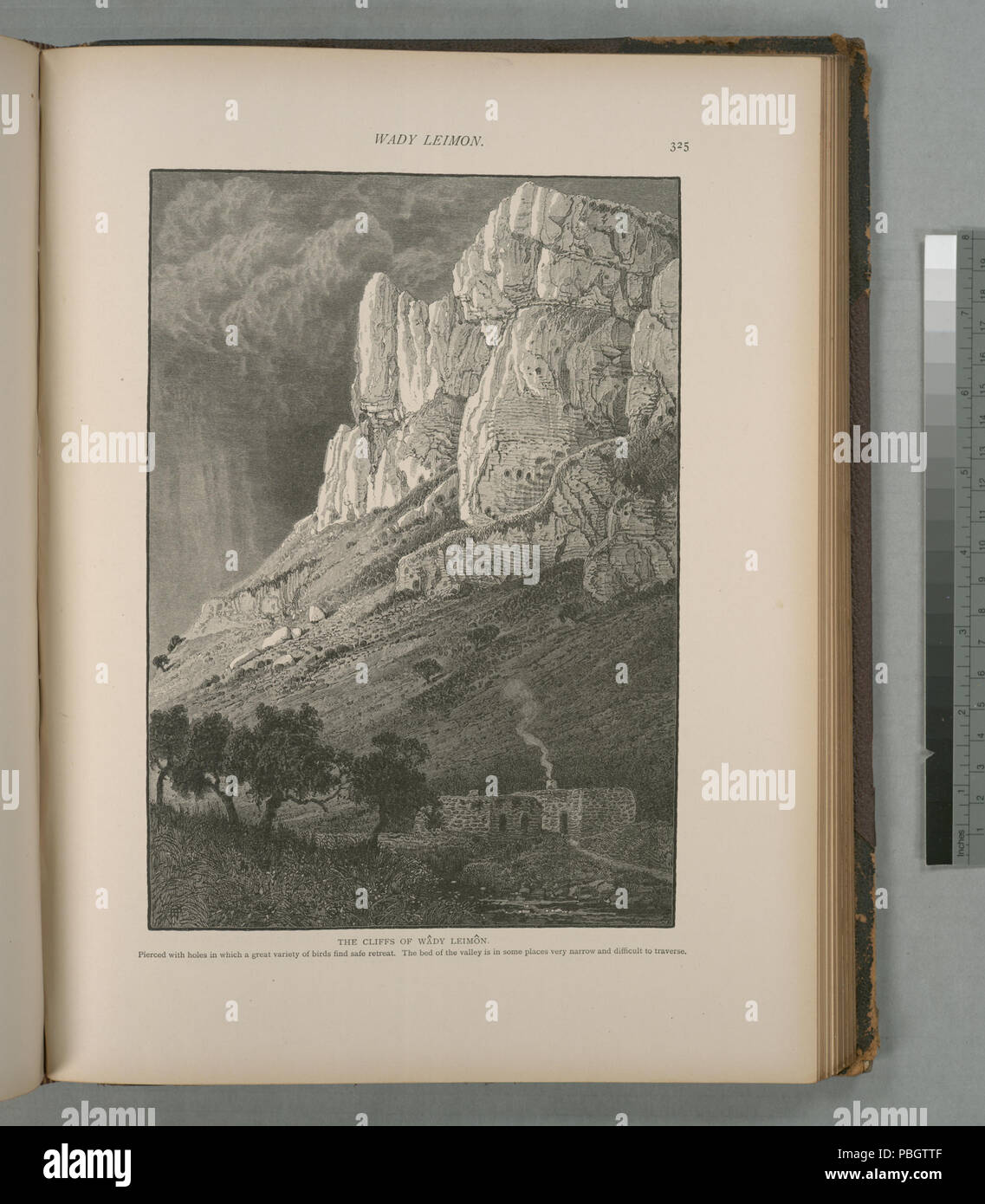 1624 Die Klippen von Wâdy Leimôn, mit Löchern, in denen eine grosse Vielfalt an Vögeln sicheren Rückzug finden Sie durchbohrt. Das Bett auf das Tal ist an einigen Stellen sehr schmal und schwierig zu verfahren (Nypl b 10607452-80463) Stockfoto