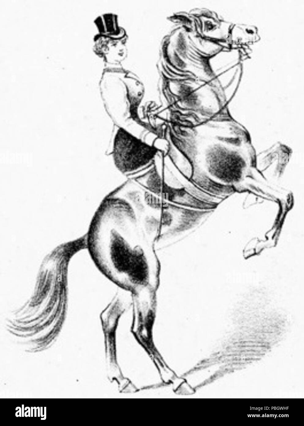 1631 Der Pferdesport Stockfoto