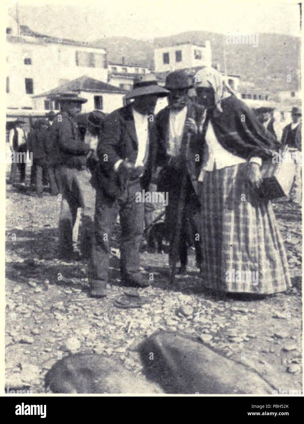 1684 Das Schwein - eine Diskussion über Schweine Verdienste, MON 1909 Stockfoto