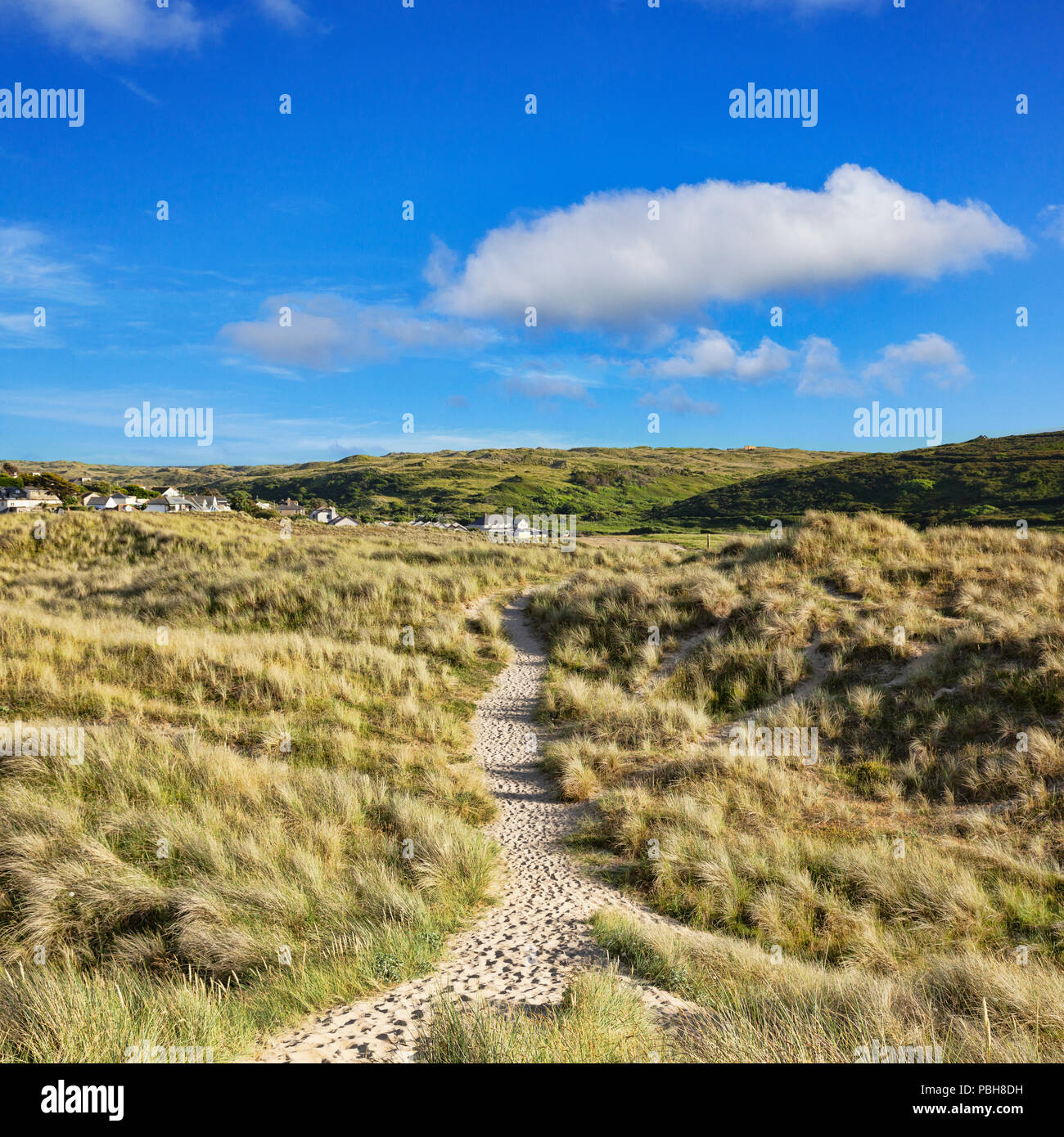 Der South West Coast Path führt durch Sanddünen in der Nähe von Holywell Bay, Cornwall, UK. Stockfoto