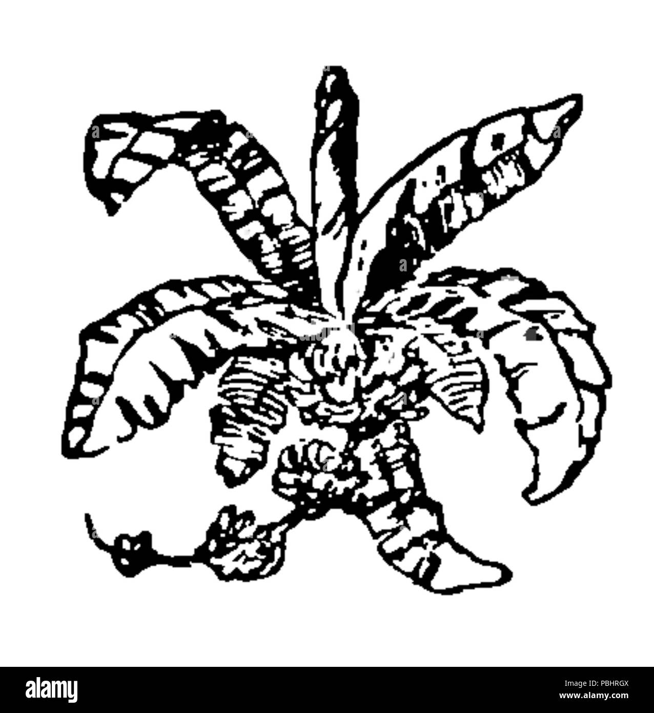 1752 Titel Seite Dekoration, 2 - - Saxe Holm's Geschichten, zweite Reihe Stockfoto