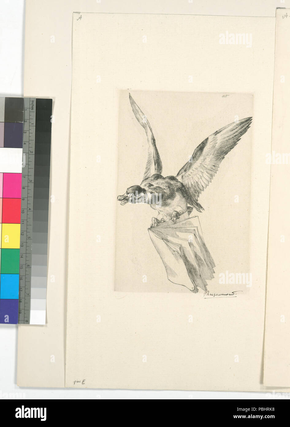 1752 Titre pour Les graveurs du XIXe siècle, Tome I - Katalog de l'oeuvre de Bracquemond (Nypl b 14830732-1150543) Stockfoto