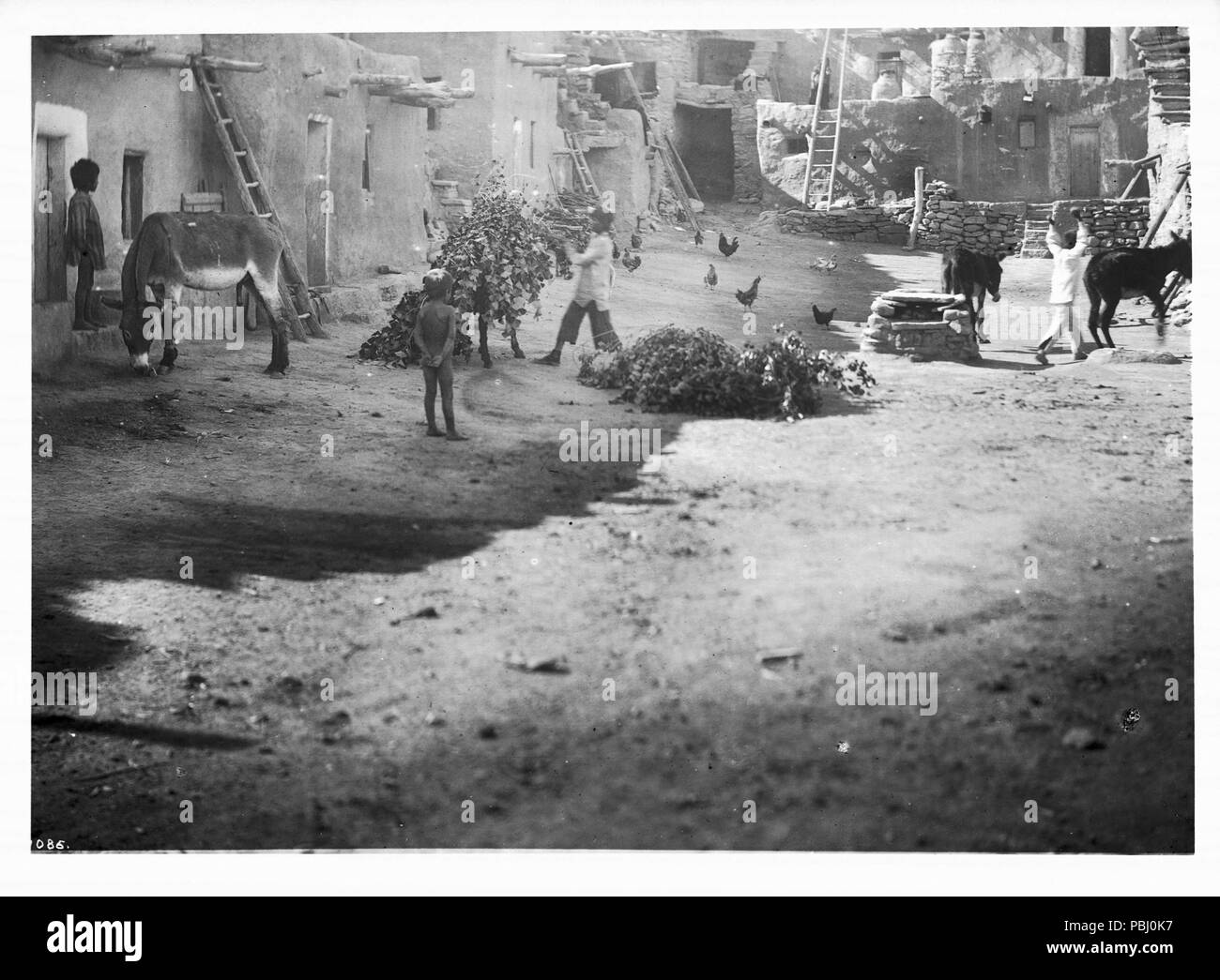 1792 Entladen Haufen grüne Äste auf der Straße der Hopi Indianer Dorf Mishongnovi für kisi oder kiva Für die Schlange tanzen, ca. 1900-1901 (CHS-1086) Stockfoto