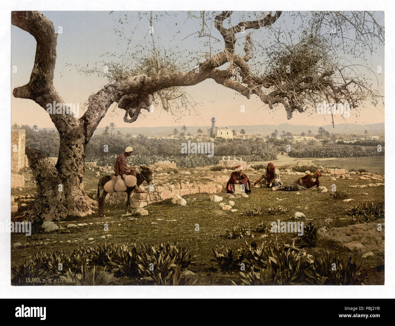 1807 Blick von Südwesten, Lydda, Heiliges Land, (d. h. Israel) - lccn 2002725033 Stockfoto