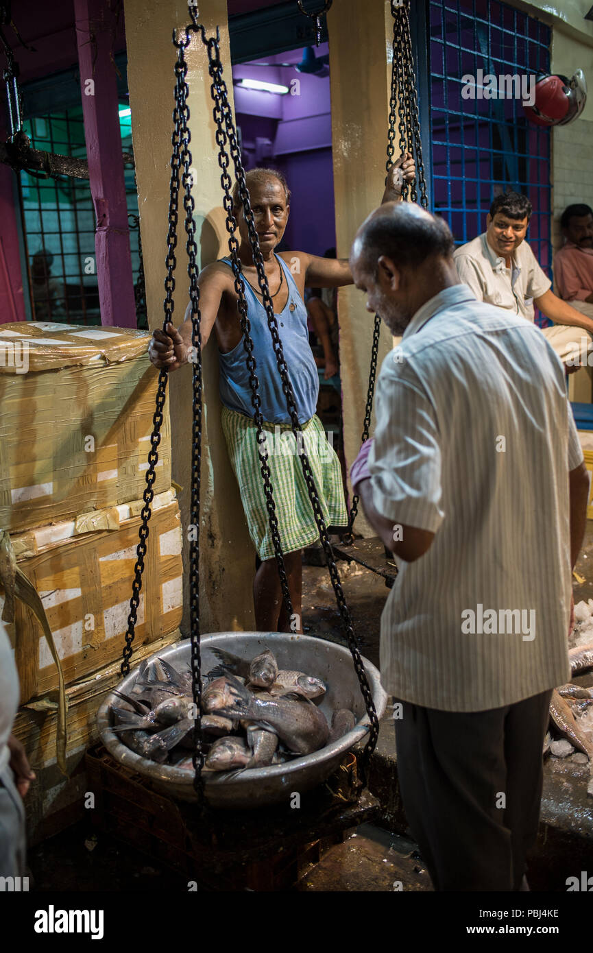 Fischmarkt, Kolkata, Indien Stockfoto