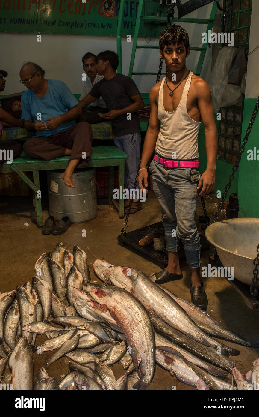 Fischmarkt, Kolkata, Indien, Asien Stockfoto
