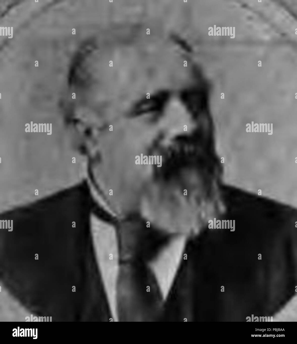 1860 WilliamEltingJohnson Stockfoto