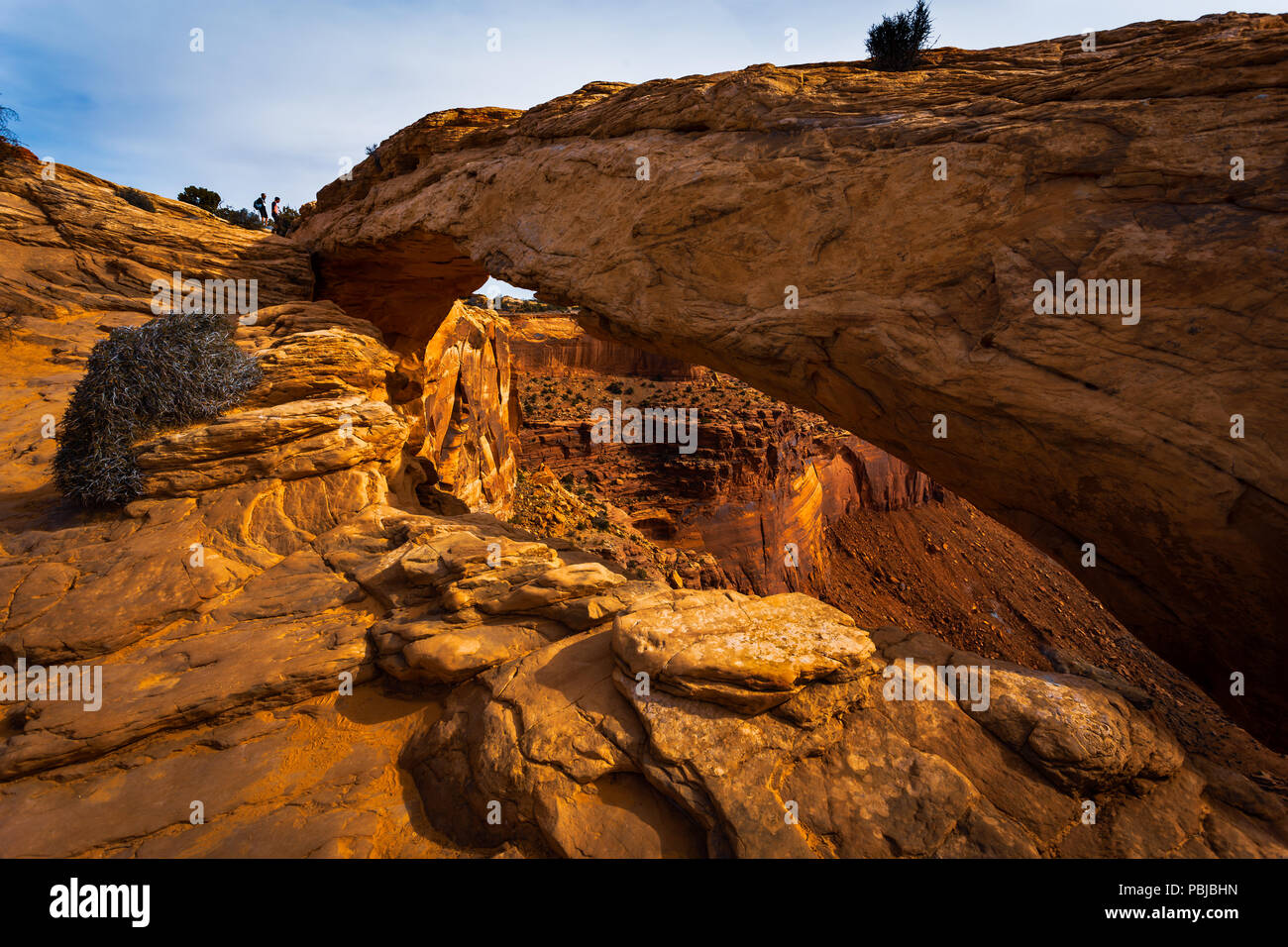 Canyon Lands National Park Utah USA Stockfoto