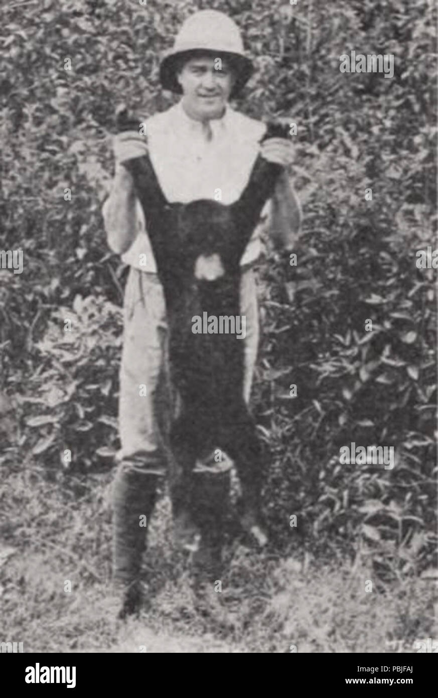 849 Jungle Adventures (1921) - 6. Stockfoto