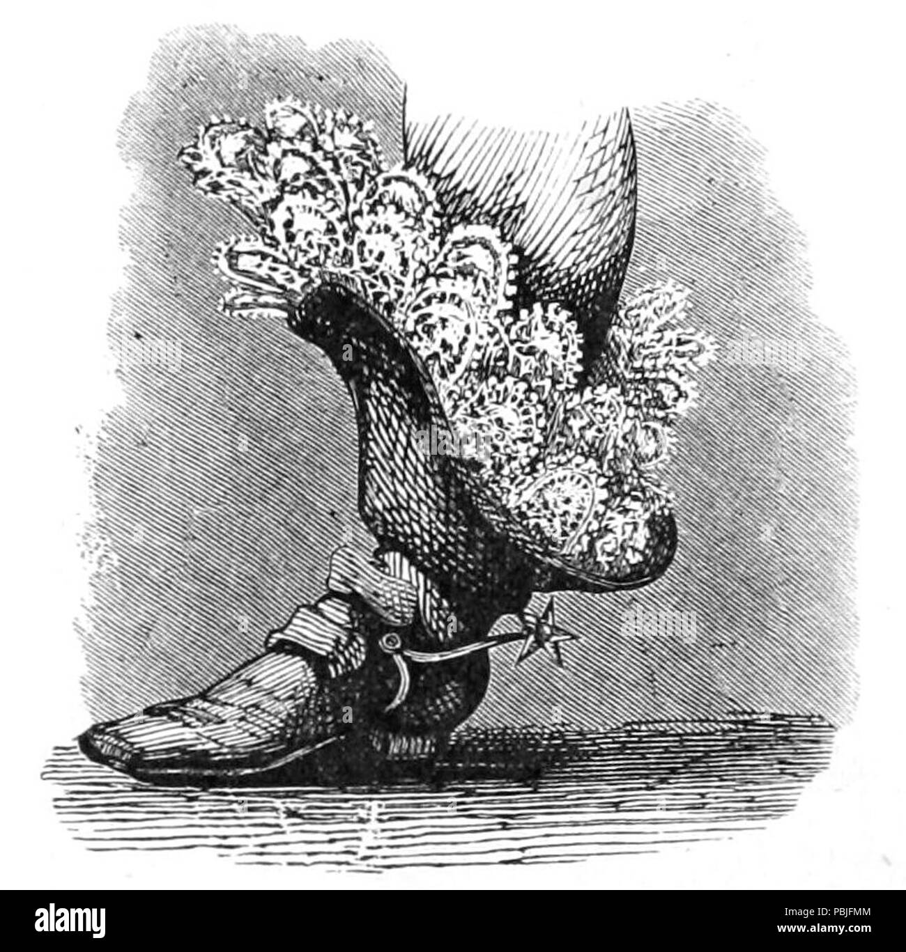 762 Geschichte der Lace-Abbildung 071 Stockfoto