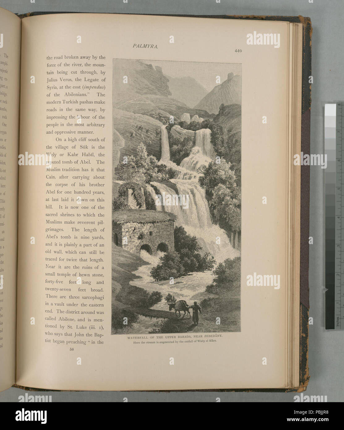 1837 Wasserfall der oberen Barada, in der Nähe von Zebedâny. Hier der Stream wird ergänzt durch die Mündung des Wâdy el Kûrn (Nypl b 10607452-80542) Stockfoto