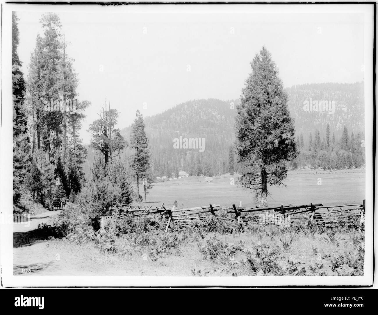 1837 Wawona Wiesen, Yosemite National Park, 1900-1930 (CHS-1178) Stockfoto