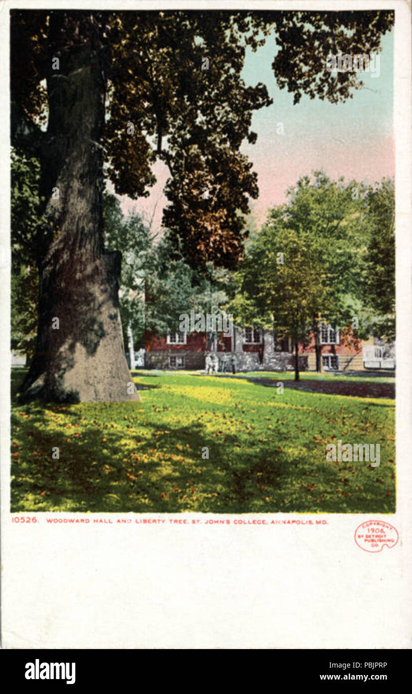 1869 Woodware Hall und Liberty Tree, St John's College (NBY 3097) Stockfoto