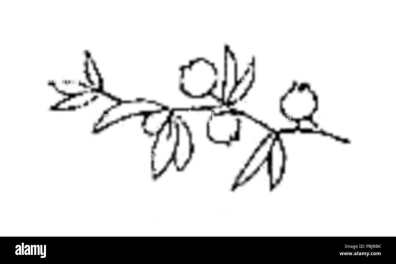 1874 Władysław Orkan - Nad grobem matki Str 34 Stockfoto