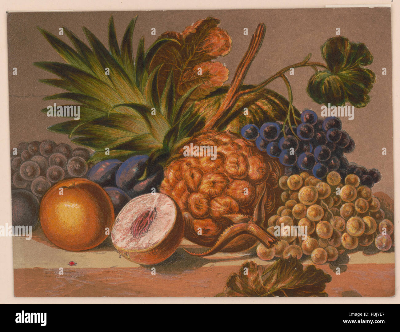 1574 Stillleben mit verschiedenen Früchten LCCN 2003670279 Stockfoto