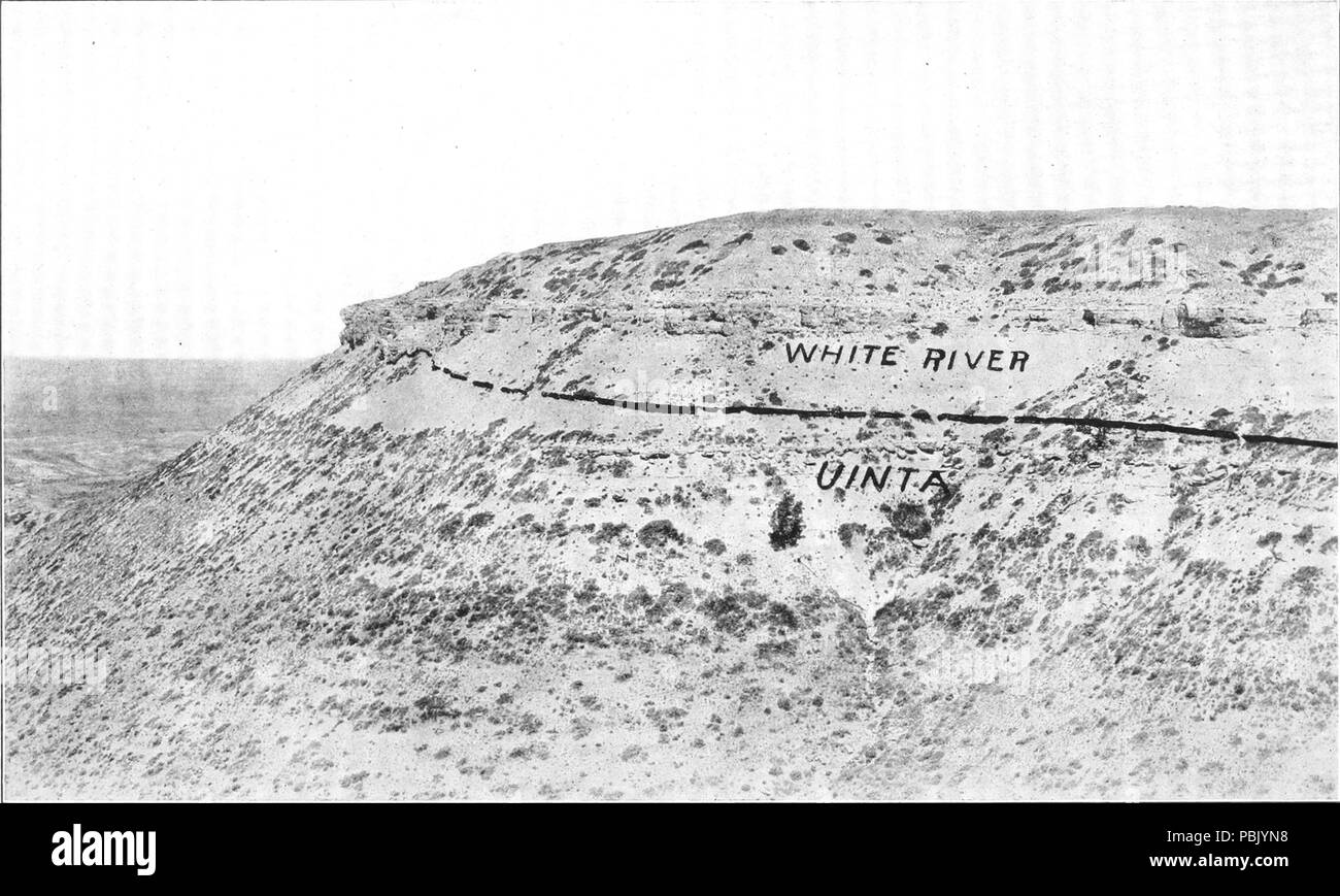 1152 Seite 036 (eine Geschichte von Landsäugetieren in der westlichen Hemisphäre, 1913) Stockfoto