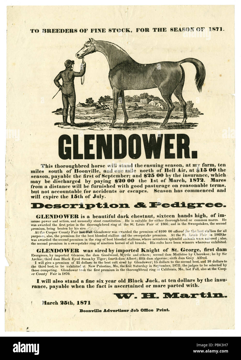 1579 Stud horse Poster mit Glendover, 25. März 1871 Stockfoto