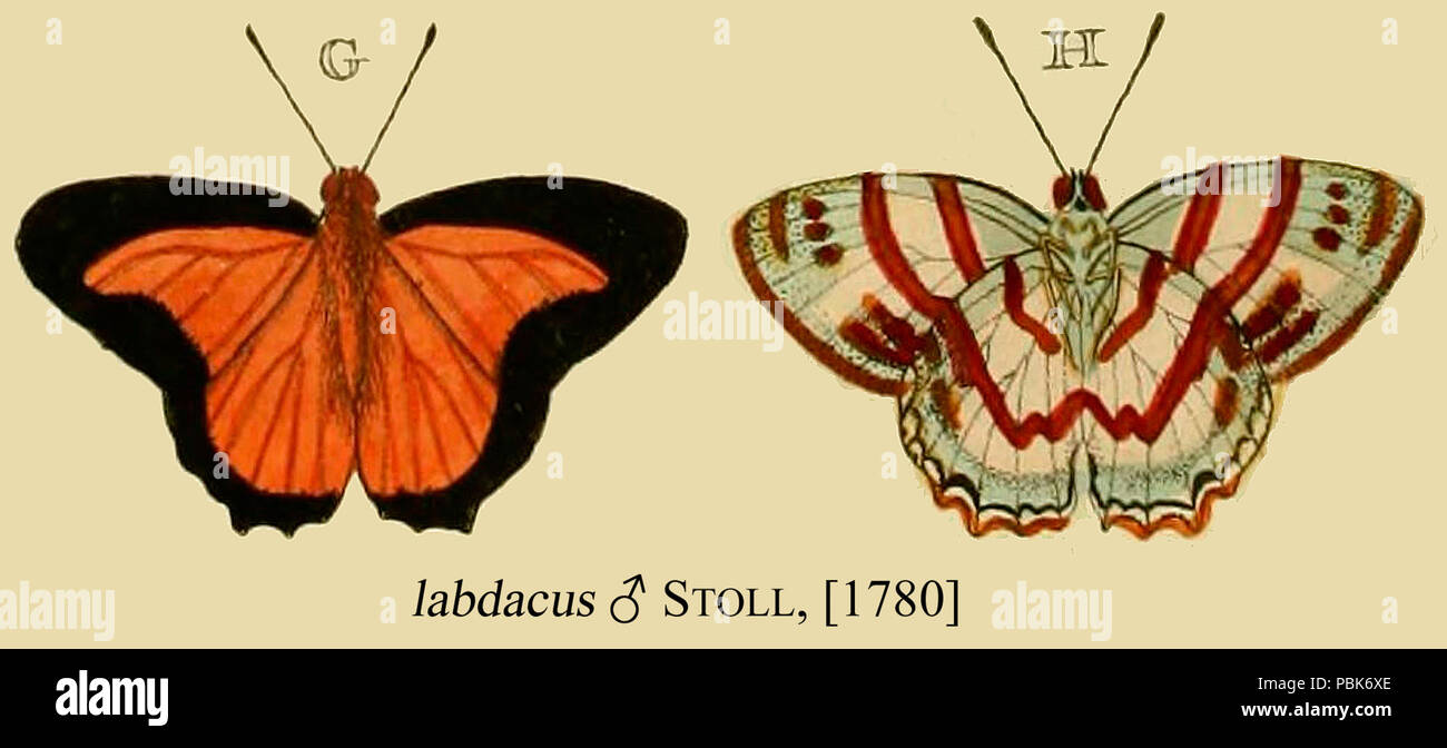 880 LabdacusStoll 1780 OD Stockfoto