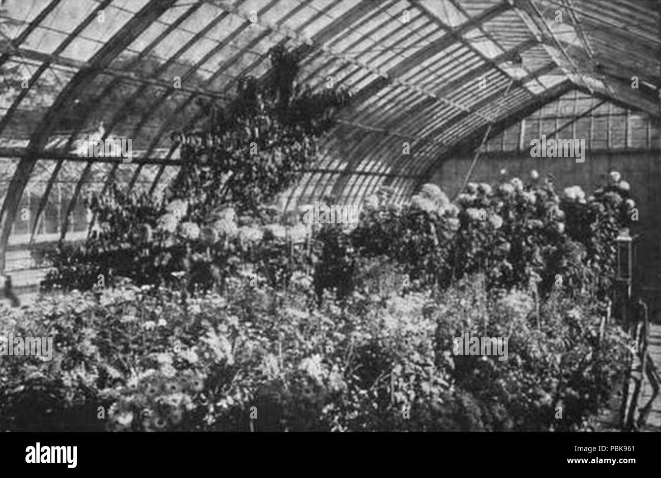 1267 Rockwood Strohmeyer, 03. Stockfoto