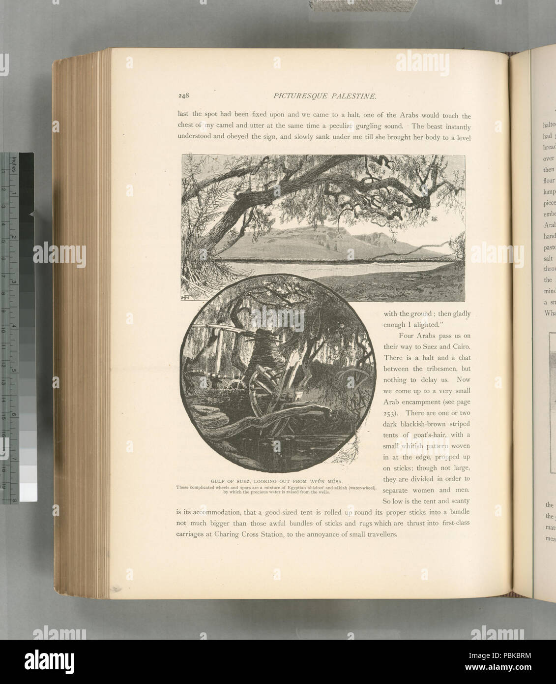 735 Golf von Suez, Blick von 'Ayún Músa. Diese komplizierten Räder und Spieren sind eine Mischung aus ägyptischen und shádoof sâkiyeh (wasserrad), durch die das kostbare Wasser aus der (Nypl b 10607452-80721) angehoben ist Stockfoto