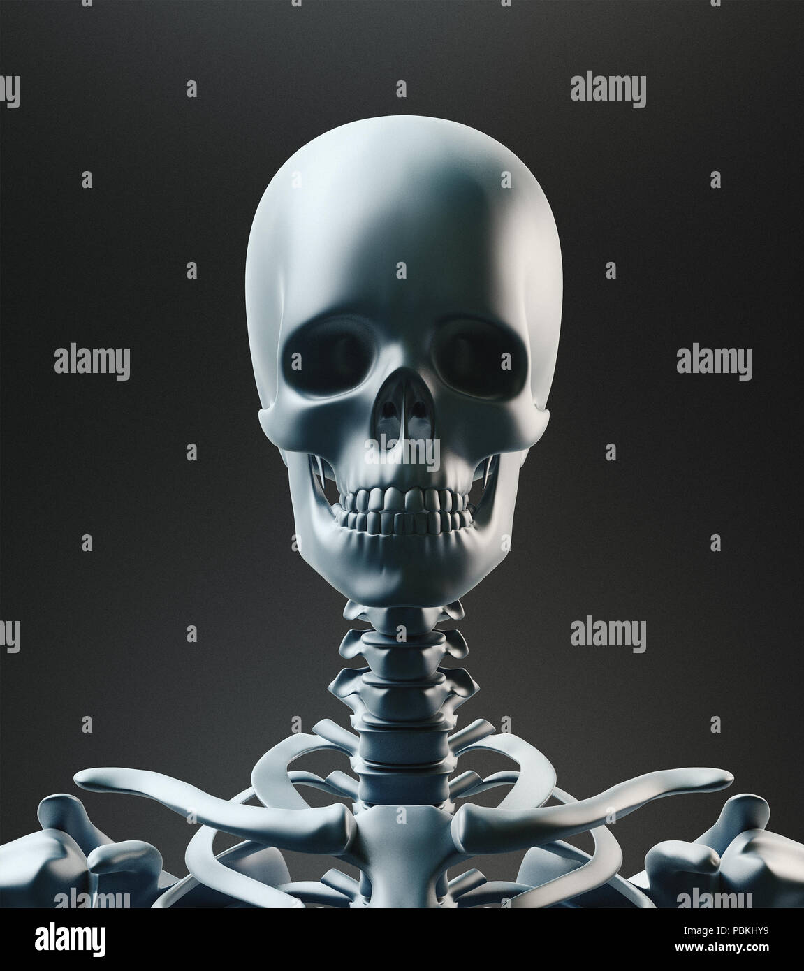 Menschliches Skelett, Knochen, 3D-Rendering illustration Stockfoto