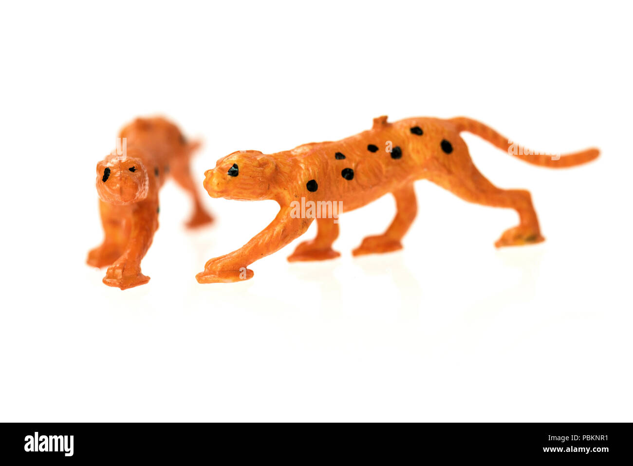 Spielzeug Geparden aus einem Jahrgang die Arche Noah Spiel eingestellt, auf weißem Hintergrund fotografiert. Stockfoto