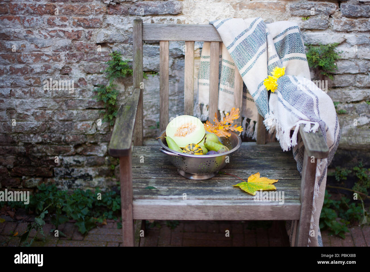 Herbst Kürbisse und Melonen auf einem alten Holzstuhl, Ernte im Garten. Stockfoto