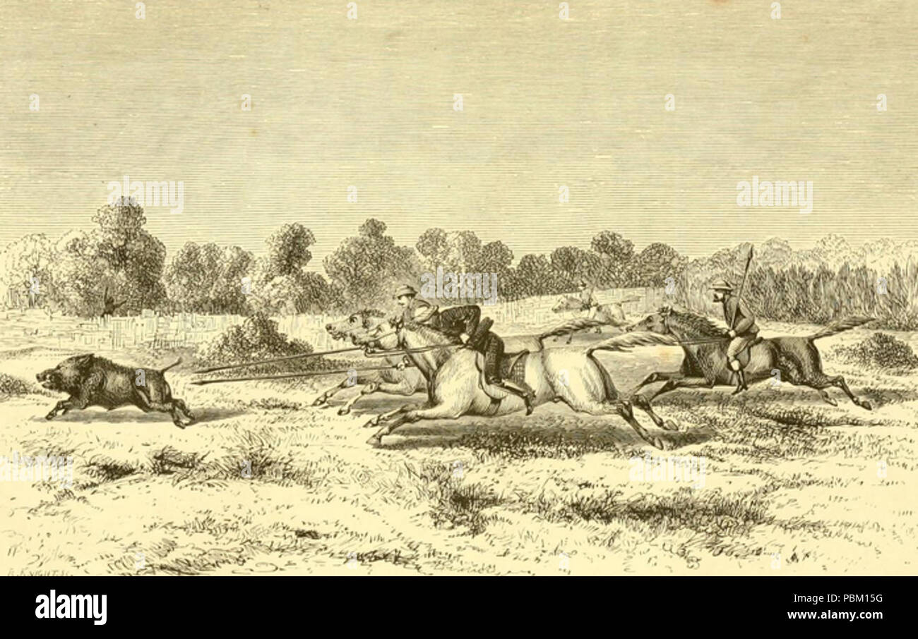 763 Hog Jagd im Osten (1867) JT NEWALL I Stockfoto