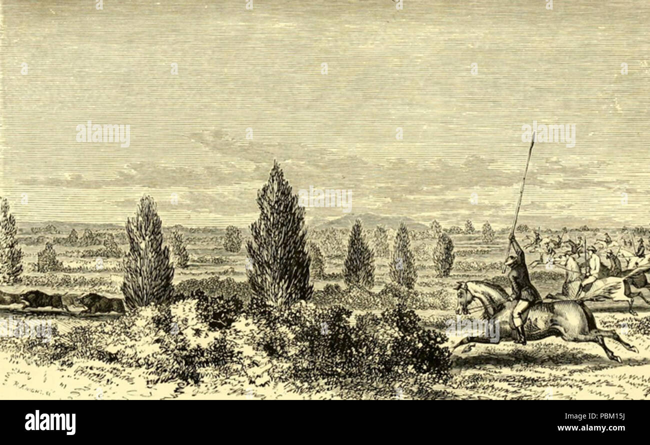 763 Hog Jagd im Osten (1867) JT Newall III Stockfoto