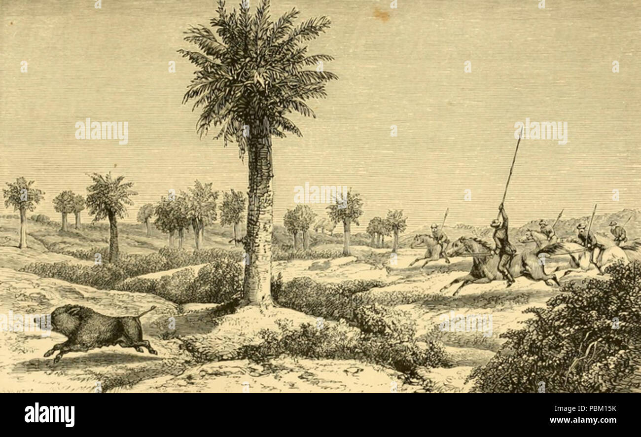 763 Hog Jagd im Osten (1867) JT Newall IV Stockfoto