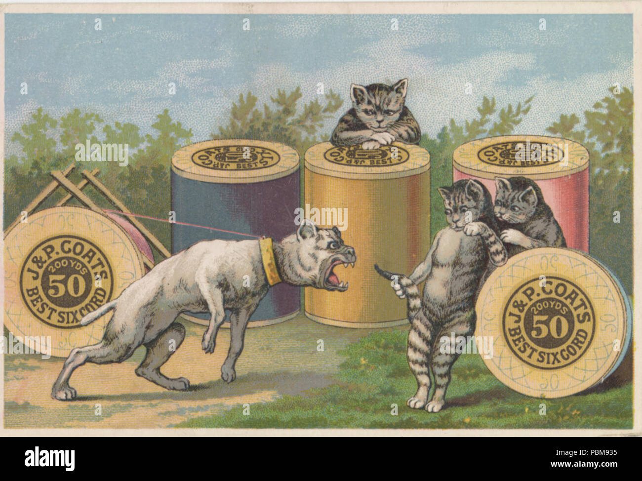 . Englisch: Persistente URL: Digital.lib.muohio.edu/u?/tradecards,1517 betrifft (TGM): Tiere; Tiere in menschlichen Situationen; Hunde; Katzen; Thema Industrie; Nähen Ausrüstung & Zubehör; Stichworte: J.&S. Mäntel besten Sechs Kabel. ca. 1881 818 J. und S. Mäntel (3092804769) Stockfoto