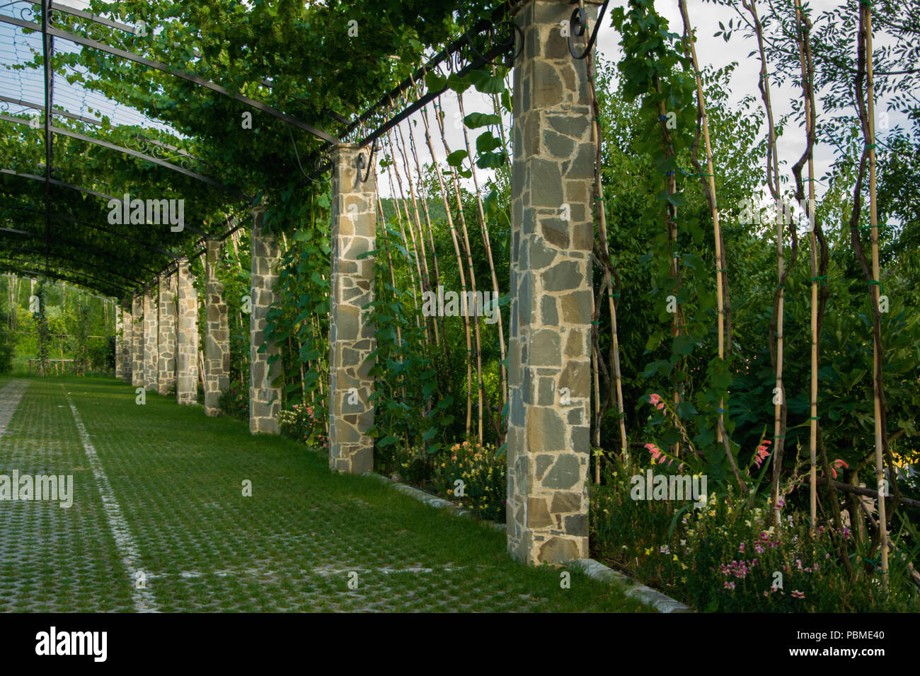 Pergola Garten Torbogen In Einem Garten Park Mit Klettern