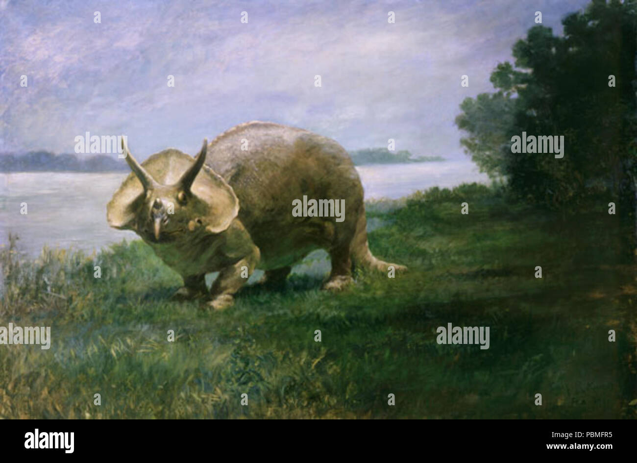 864 Knight Triceratops Stockfoto