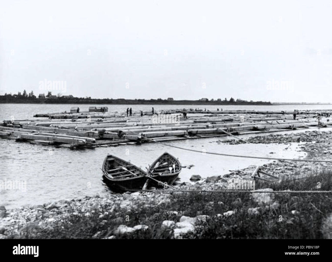 . Englisch: Foto, Bauholz floss, Ottawa River, QC, ungefähr 1890, Wm. Notman & Sohn, Silbersalze auf Glas - Gelatine, trockenen Platte Prozess - 20 x 25 cm Français: Helvetica, Bahn de Bois, Rivière des Outaouais, Ontario - QC, Vers 1890, Wm. Notman & Sohn, Plakette sèche à la gélatine, 20 x 25 cm. ca. 1890 959 Lumber Raft Ottawa River 1890 Stockfoto