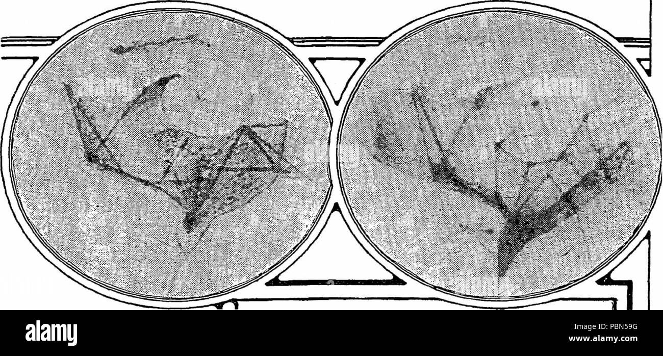 . Englisch: Zwei runde, Zeichnungen, in denen angebliche Kanäle auf der Oberfläche des Mars. Veröffentlicht August 27, 1911 1001 Martian Canals Sommer 1911 Stockfoto