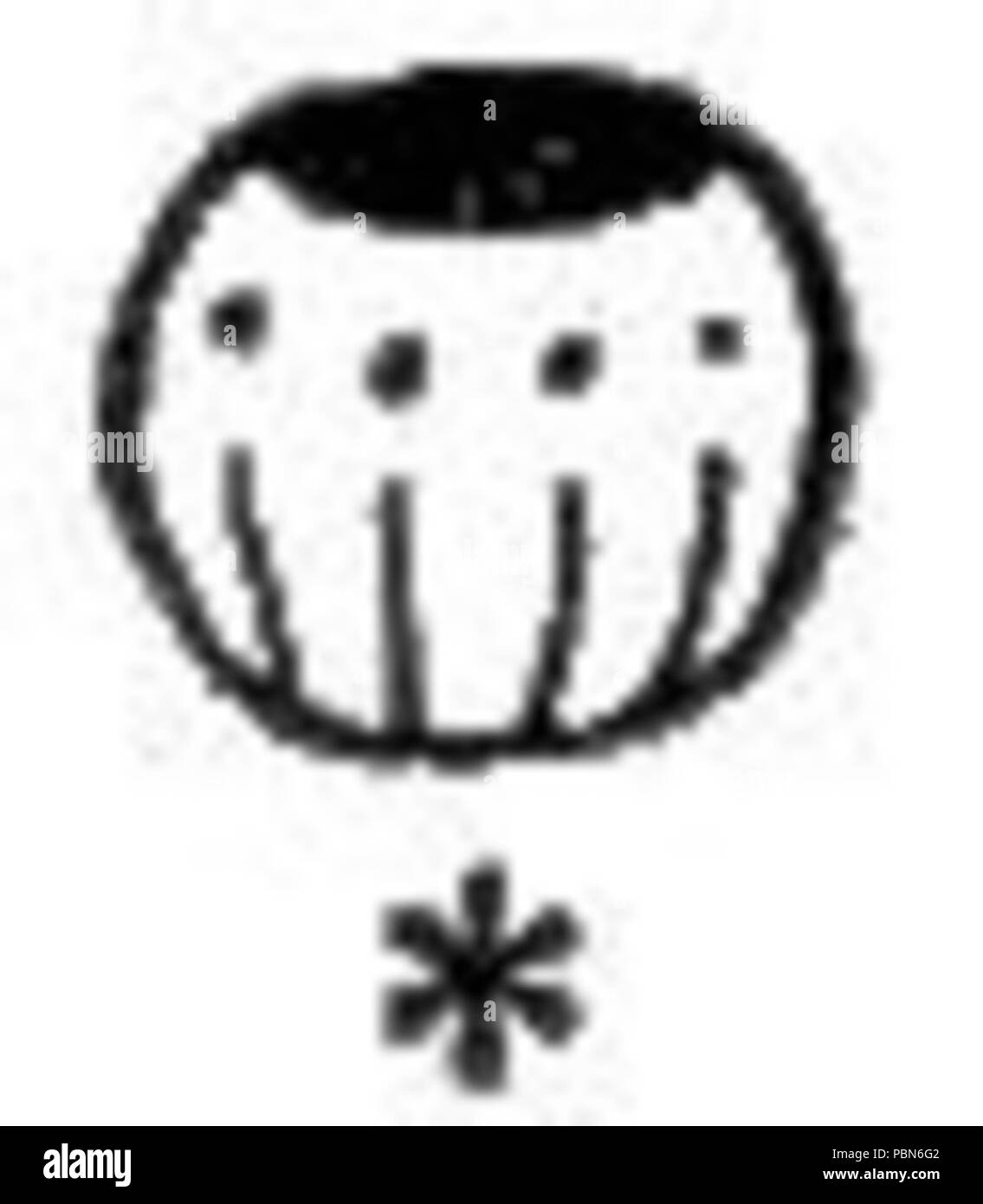 1009 Maya Hieroglyphen Randnote 42 Stockfoto