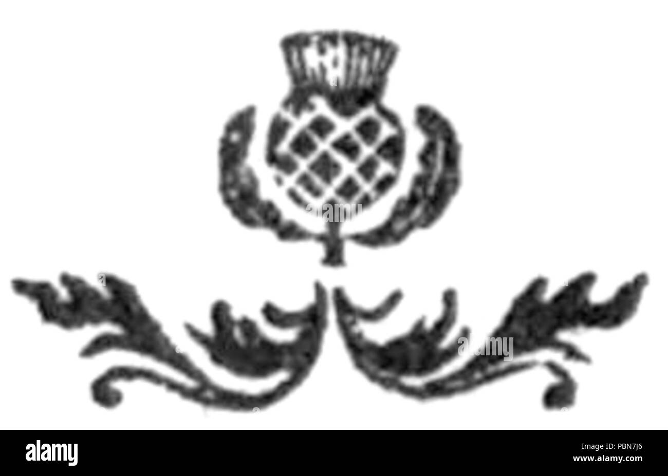 1019 Fröhliche Musen von Caledonia - Fleuron p118 Stockfoto