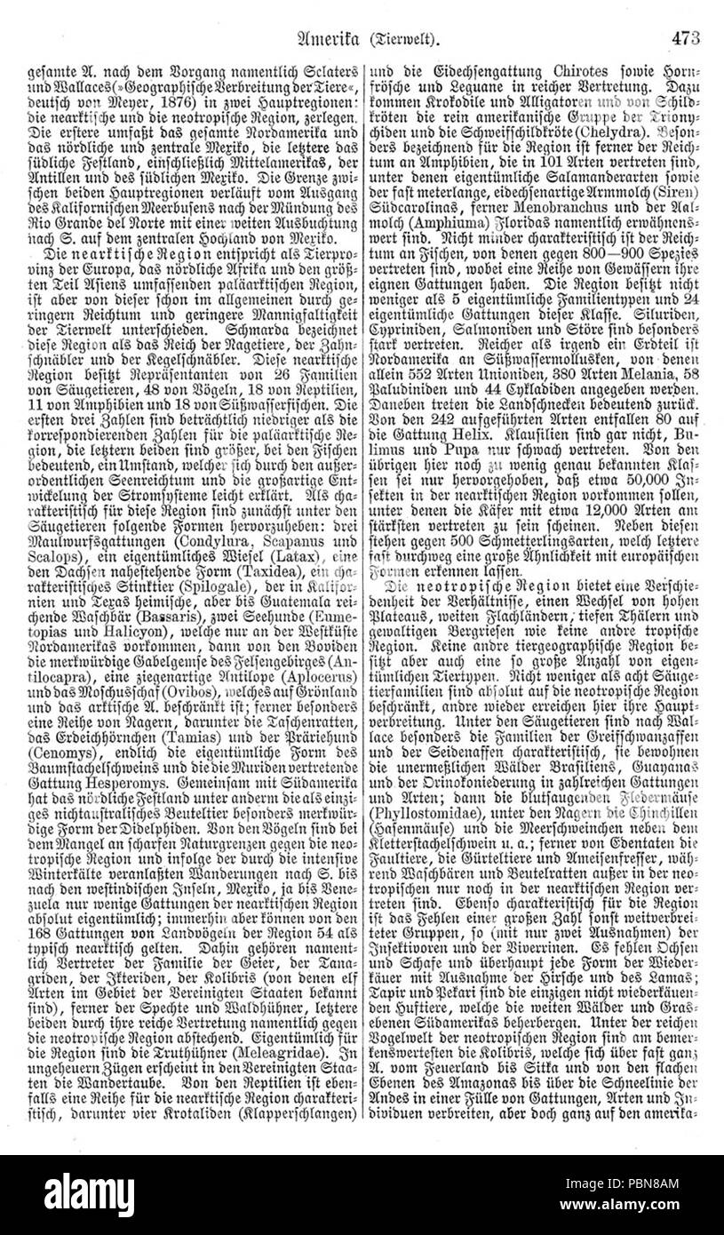 1023 Meyers b1 s0473 Stockfoto