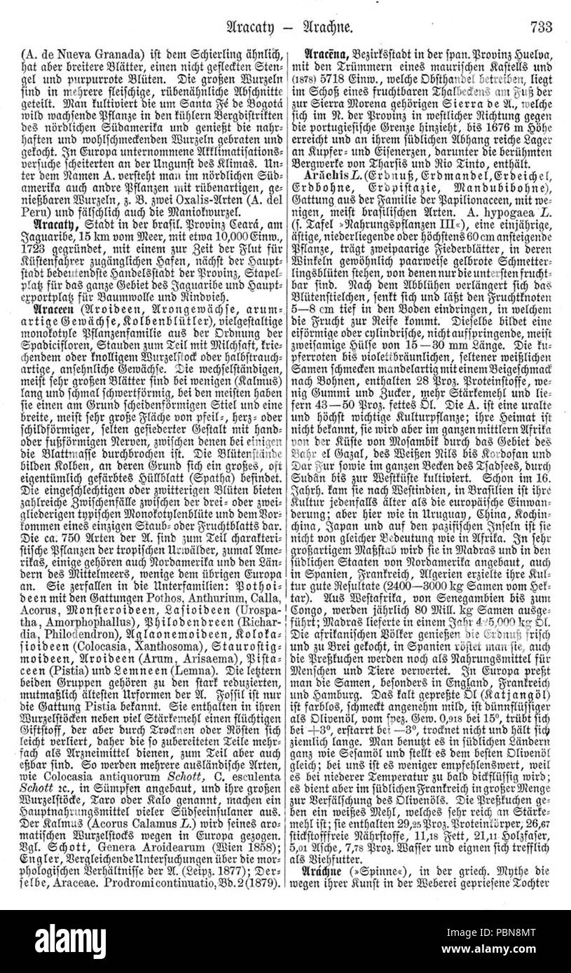 1024 Meyers b1 s0733 Stockfoto