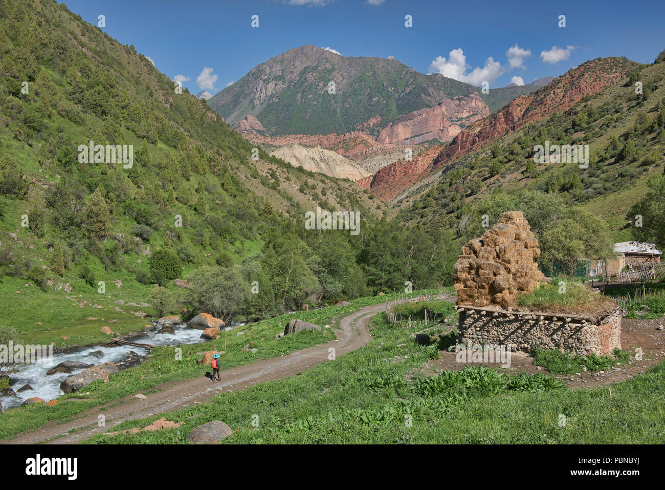 Wunderschönes Flusstal auf den Höhen von Alay route, Alay, Kirgisistan Stockfoto