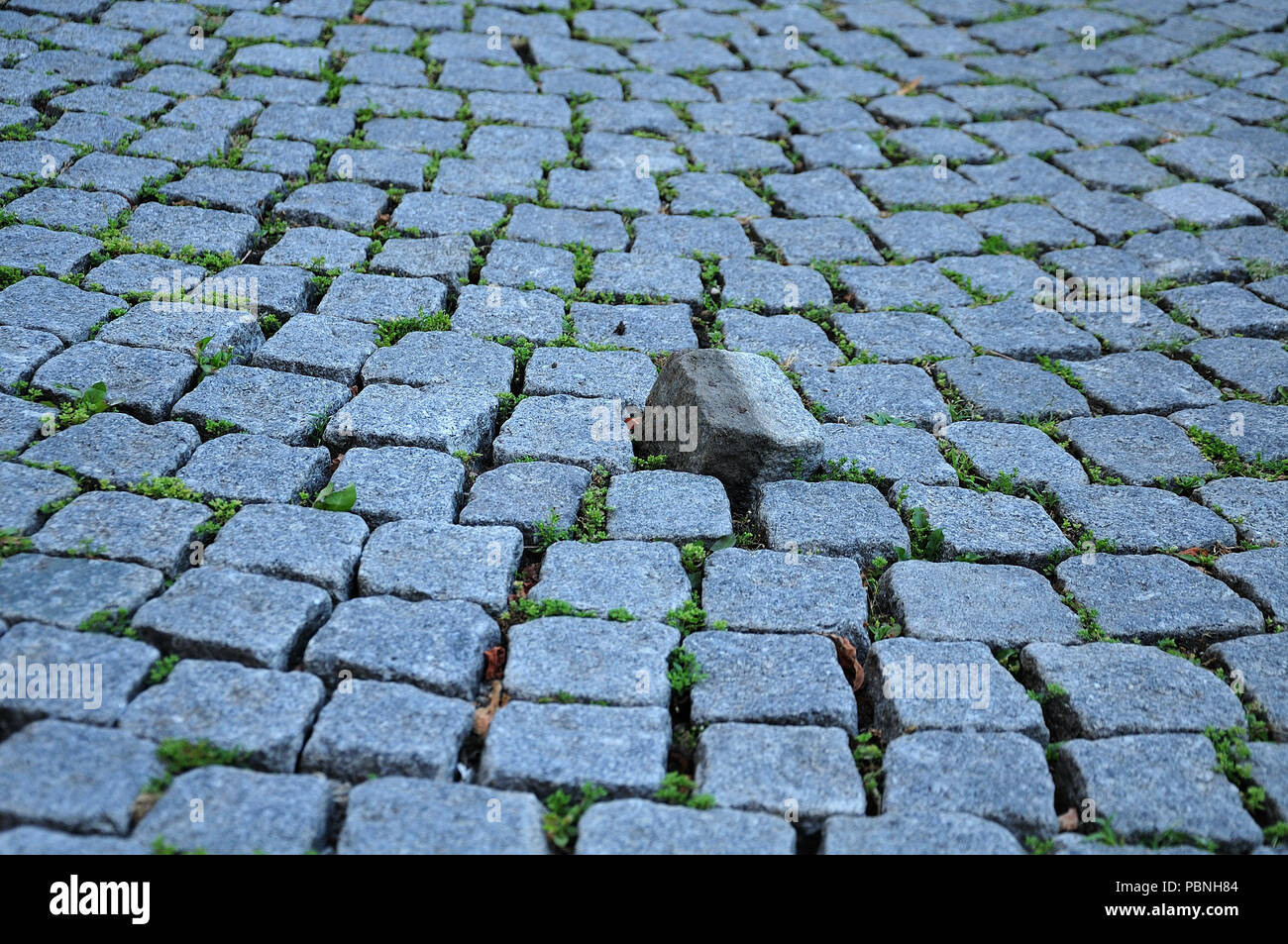 Lose Pflasterstein im Rundschreiben des Kopfsteinpflaster in der Fußgängerzone einer Stadt Stockfoto