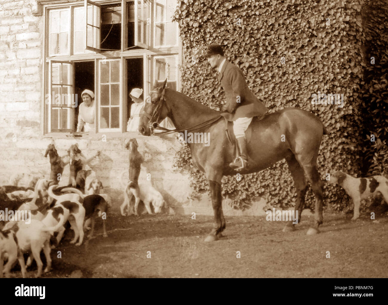 Falken Jagd bei Cockington Hof, Devon, 1900 Stockfoto