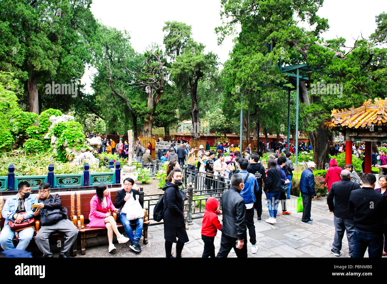 Verbotene Stadt, Palace Museum, (gugong), dem Platz des Himmlischen Friedens, Peking, Republik People's China, VR China, China Stockfoto